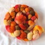 Spanish Merino Wool Top Rov..